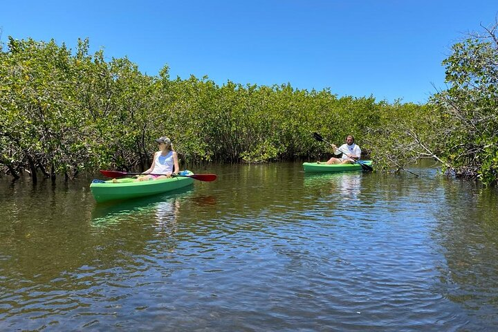 2 Hour Tandem Kayak Tour (Price for 2 People) - Photo 1 of 11